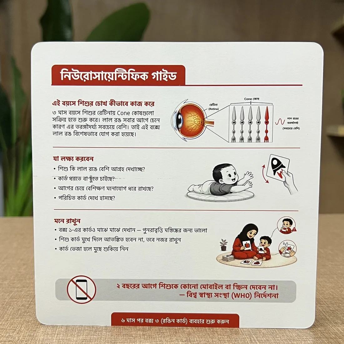 Baby Vision Booster — নিউরোসায়েন্টিফিক গাইড কার্ড